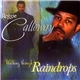 Reggie Calloway - Walking Through Raindrops